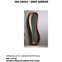 Dino Mirror
