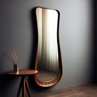 Aaranya Mirror