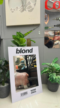 blond mirror indore india mayra homes